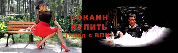 тгк Арсеньев